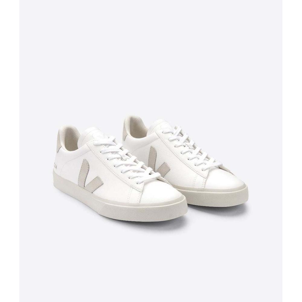 Veja CAMPO CHROMEFREE Men's Low Tops Sneakers White/Beige | CA 203KOR